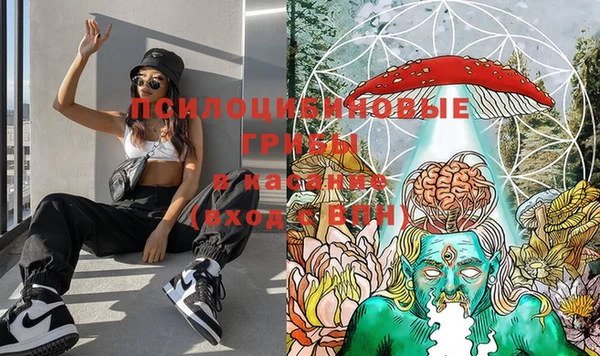тгк Ельня
