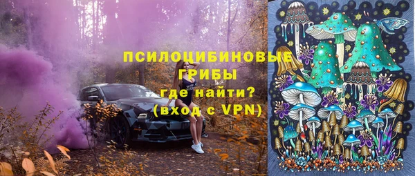 тгк Ельня